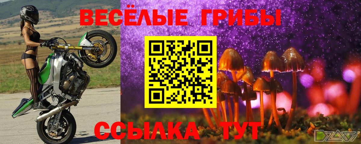 Галлюциногенные грибы GOLDEN TEACHER  Вход с VPN  Еманжелинск 